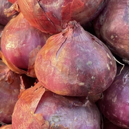 Onions - Small paint bucket