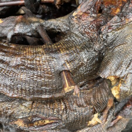 Bush Meat - Alligator