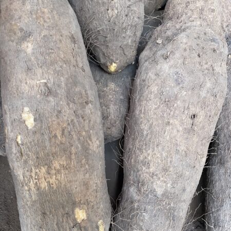Benue Yam (Big size) per tuber
