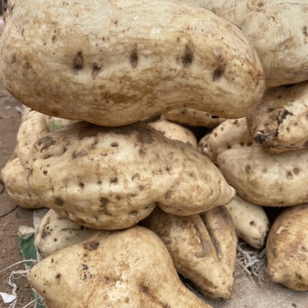 Sweet Potatoes -  5kg (Small paint bucket)