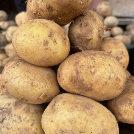 Irish potatoes - Small paint bucket