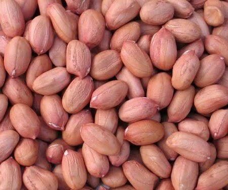 Groundnut - One mudu