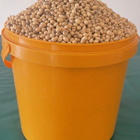Soyabeans - Small paint bucket